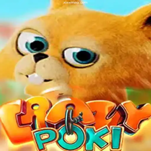 Discovering the World of CrazyPoki: A Comprehensive Guide